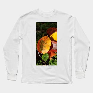 Fall colors Long Sleeve T-Shirt